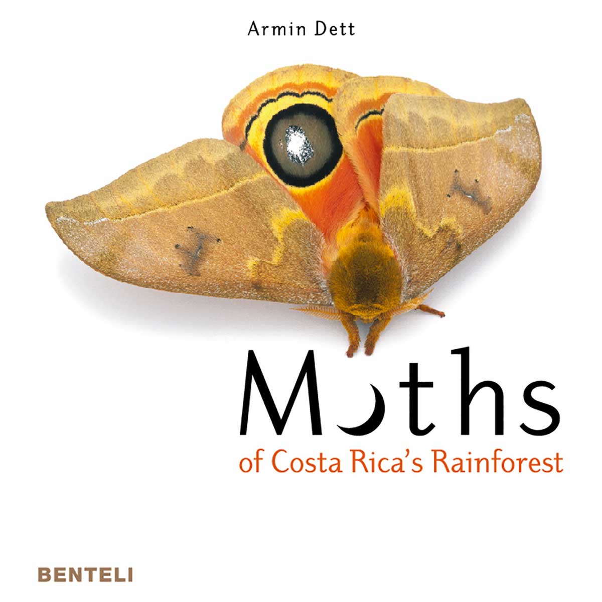 Armin Dett - Motts of Costa Rica's Rainforest